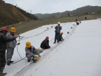 安阳不透水土工布厂家/价格图片0