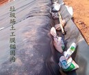 内江土工膜供应商图片