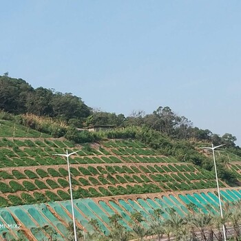 江西南昌鐵路路基邊坡植草綠化施工