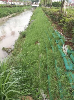 广东深圳植生袋生态袋边坡防护施工多少钱一平方