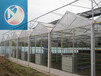 中翔温室农业智能温室大棚玻璃智能温室大棚配件智能化温室大棚设计