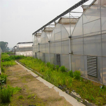 湖北建設(shè)種植薄膜溫室大棚價(jià)格連棟溫室建設(shè)湖北設(shè)計(jì)薄膜溫室的效果圖