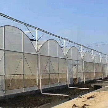 薄膜連棟溫室廠家,薄膜連棟溫室建造