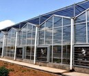 玻璃连栋温室介绍,玻璃温是规格,温室公司