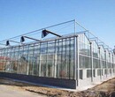 玻璃连栋温室介绍,玻璃温室规格,温室工程