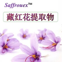 Grelide®供应西班牙Saffrouex藏红花提取物西红花提取物