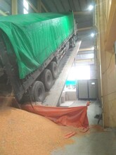 自動卸車機(jī)-散料卸車平臺廠家圖片