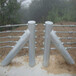 景区缆索护栏-风景区缆索防护栏-道路柔性钢丝绳防护栏