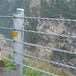 喷塑缆索护栏-六索缆索防护栏-道路缆索防撞缓冲栏