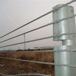 喷塑缆索护栏-景区缆索护栏-道路柔性缆索防护栏图片4