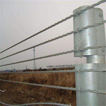 柔性钢丝绳护栏-镀锌钢丝绳护栏-道路钢丝绳式防撞栏