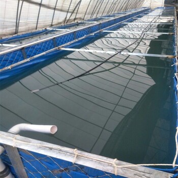 新型水产养殖帆布池子养鱼养虾水池
