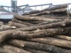 深圳柞木运动木地板价格