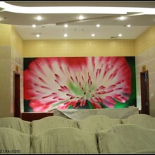 北京悅嘉睿智手繪壁紙工作室定制手繪花鳥壁紙圖片