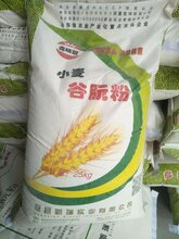 83蛋白含量25公斤编织袋装山东瑞冠活性谷朊粉图片