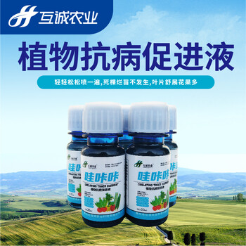 植物抗病促進(jìn)液哇咔咔增加有效花蕊數(shù)，提高座果率，延長采摘期