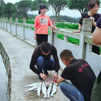 长沙周边钓鱼的地方休闲娱项目多的地方