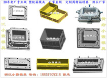 注塑模具厂家注塑冷冻箱模具供应商图片0