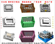 注塑模具厂家注塑冷冻箱模具供应商图片1