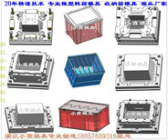 注塑模具厂家注塑冷冻箱模具供应商图片2