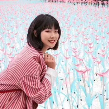 發(fā)光千紙鶴展覽