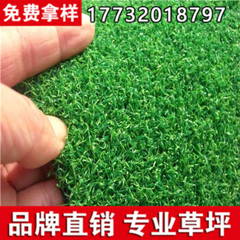 廠家供應工地工程圍擋草坪網(wǎng)蓋土網(wǎng)