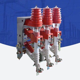 长期供应四川乐山FN12-12RD/125-31.5型户内交流高压负荷开关图片3