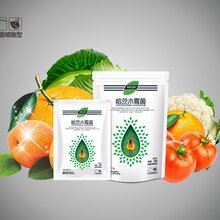 沃普丰哈茨木霉t22新柱系预防真菌细菌病菌提前预防厂家直销图片