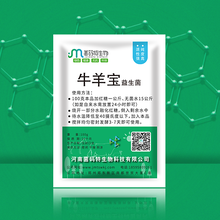 广西防城港用甘蔗渣喂牛先发酵后再喂图片