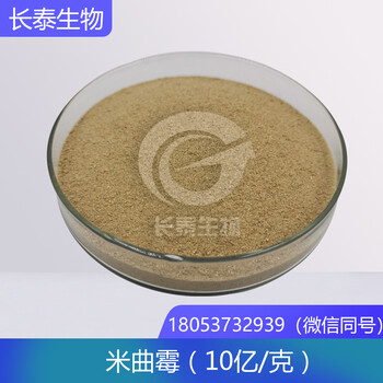 米曲霉50億微生物菌劑發(fā)酵劑廠家批發(fā)零售米曲霉