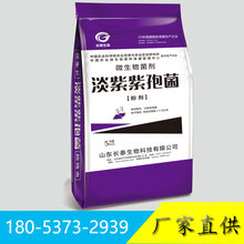 淡紫拟青霉生物有机肥功能菌防线虫菌剂图片
