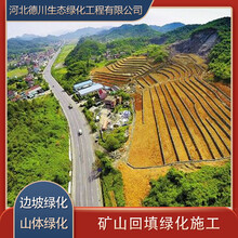 山西挂网喷砼施工挂网喷浆施工植草护坡施工边坡绿化施工