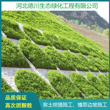 山西植草护坡框架梁绿化喷播植草施工边坡植草施工客土喷播施工