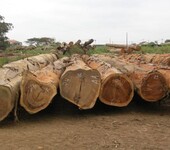 深圳木材一般贸易代理进口单证/上海木材高效进口代理清关报关行