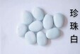 白石子采购批发市场优质白石子小白石人造彩石价格品牌/厂商