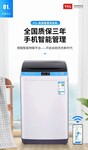 TCL投币式洗衣机全自动商用6公斤波轮自助扫码微信支付TB-V6001G