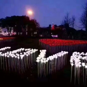 绚丽玫瑰花海出租，发光玫瑰花海租赁，玫瑰花海定制出售