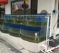 广州黄沙海鲜价格行情海鲜池鱼缸厂家定做大小超市海鲜池定做