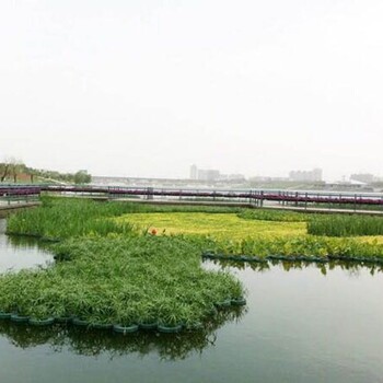 水生浮島價(jià)格
