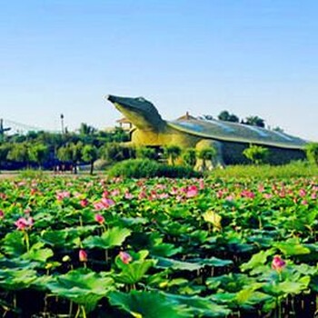 开封河湖沉水植物景观设计