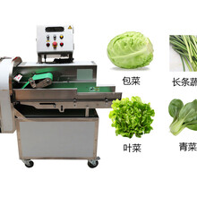 不锈钢电动多功能切菜机商用大型全自动切菜机