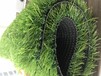 厂家直销人造草坪DELI-M30183户外人造塑料草坪仿真草坪