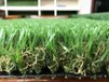 户外人造塑料运动草坪厂家直销人造草坪DELI50DSHS足球场