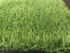 厂家直销工程围挡塑料假草地毯仿真草坪运动草坪