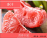 梅州梅县三红柚公司团购礼盒联系方式