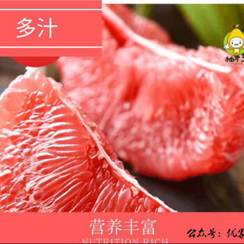 梅县三红柚果农批发联系方式，现在三红柚大概价钱