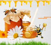 采购蜜土蜂蜜纯天然农家蜂蜜保健蜂蜜