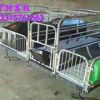 贵州六盘水连体母猪产床（猪分娩栏）猪场安装