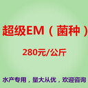 超級(jí)EM菌（可活化），水產(chǎn)用超級(jí)EM菌，超級(jí)EM菌廠家——金百合生物