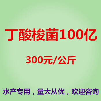 丁酸梭菌100亿，水产用100亿丁酸梭菌，丁酸梭菌厂家——金百合生物的拷贝